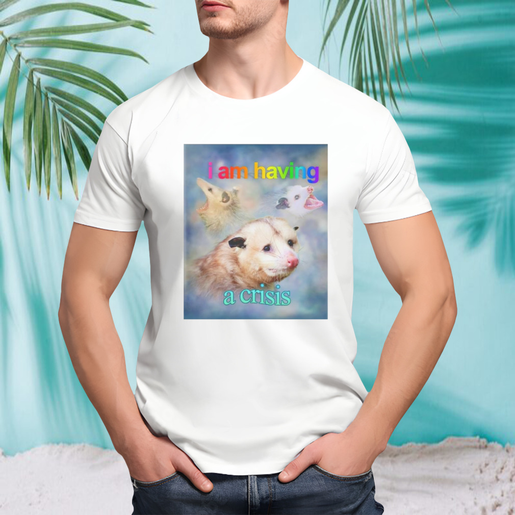 I am having a crisis possum T-shirt