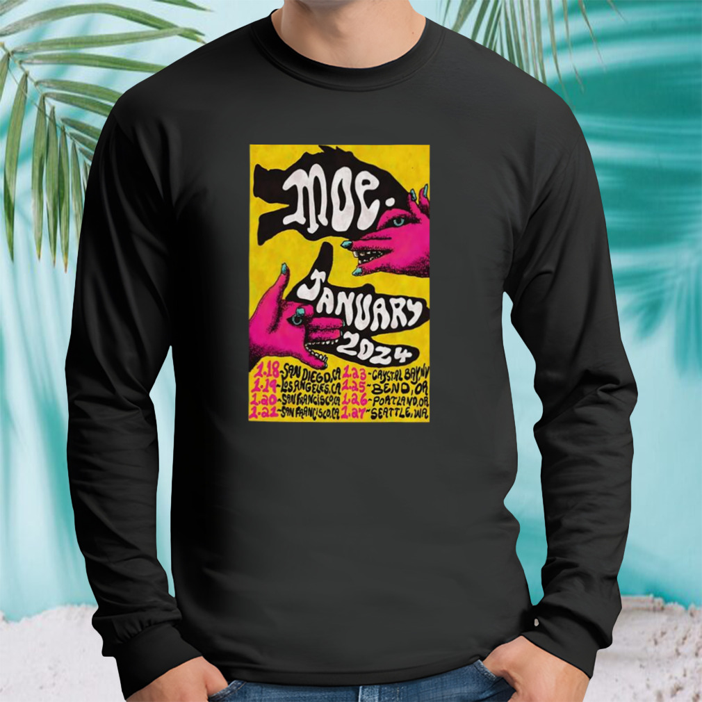 Longsleeve tshirt