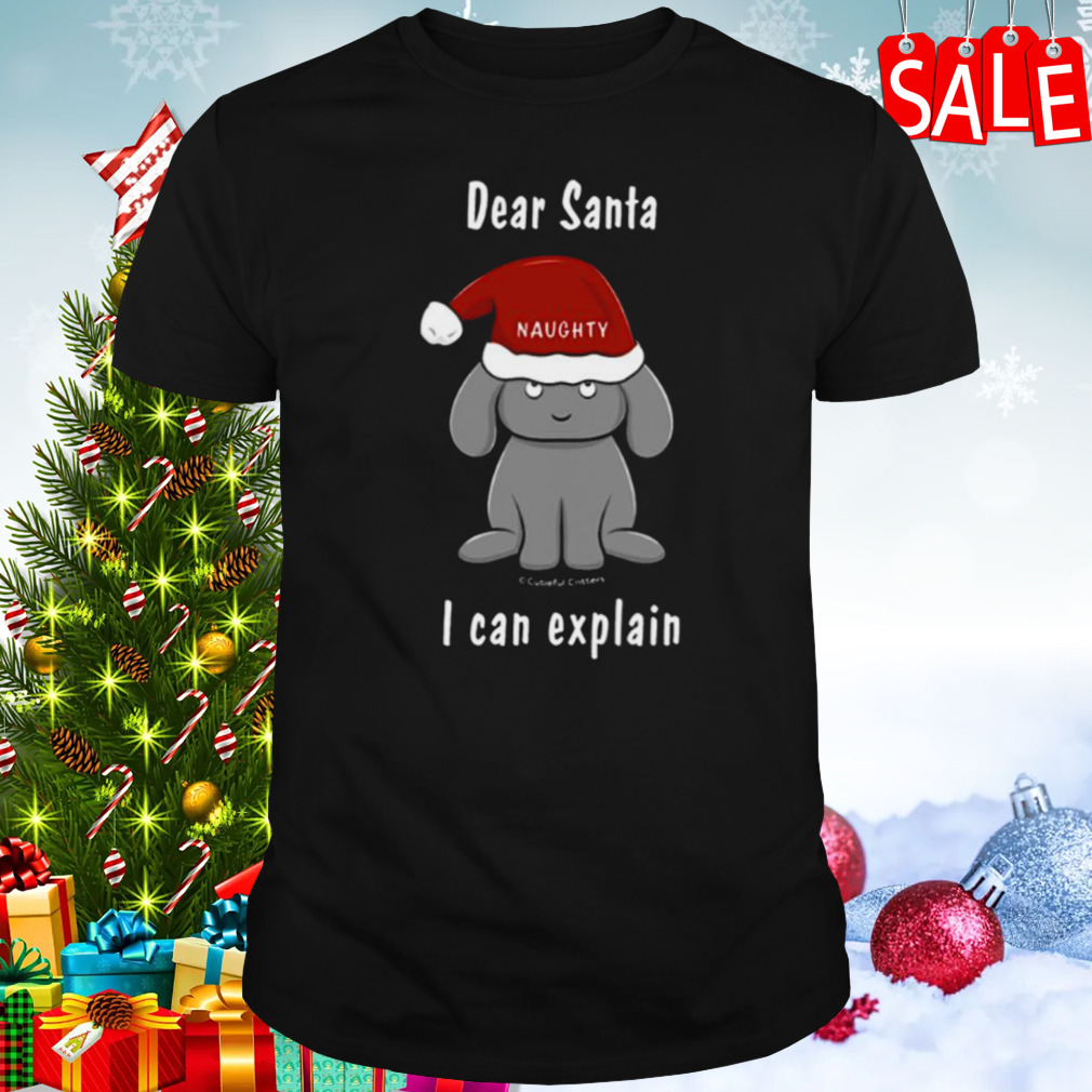 Dear Santa I Can Explain Bunny shirt