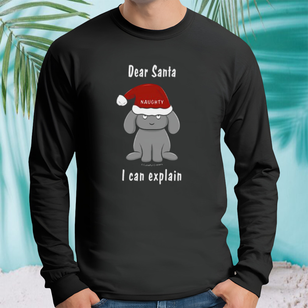Longsleeve tshirt