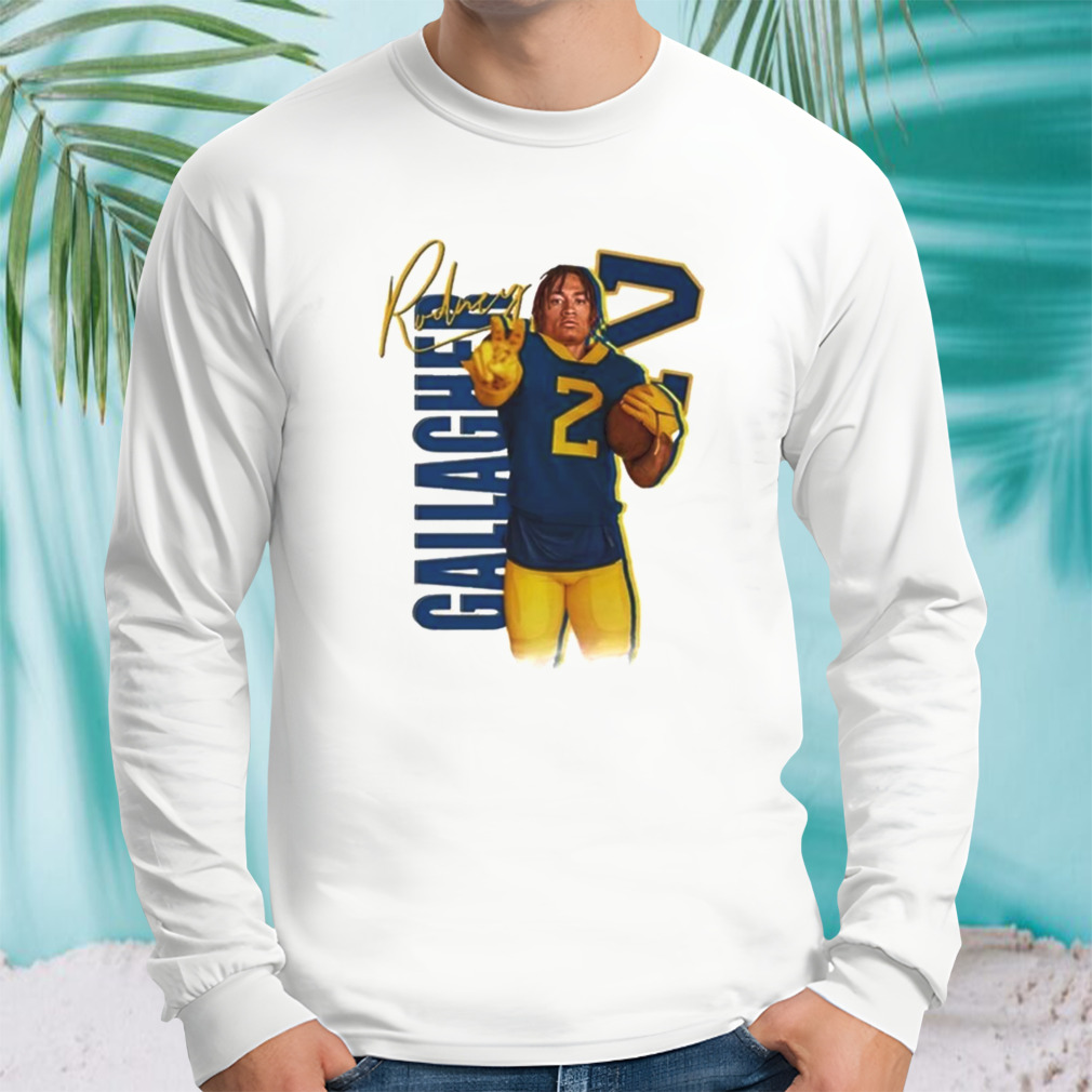Longsleeve shirt