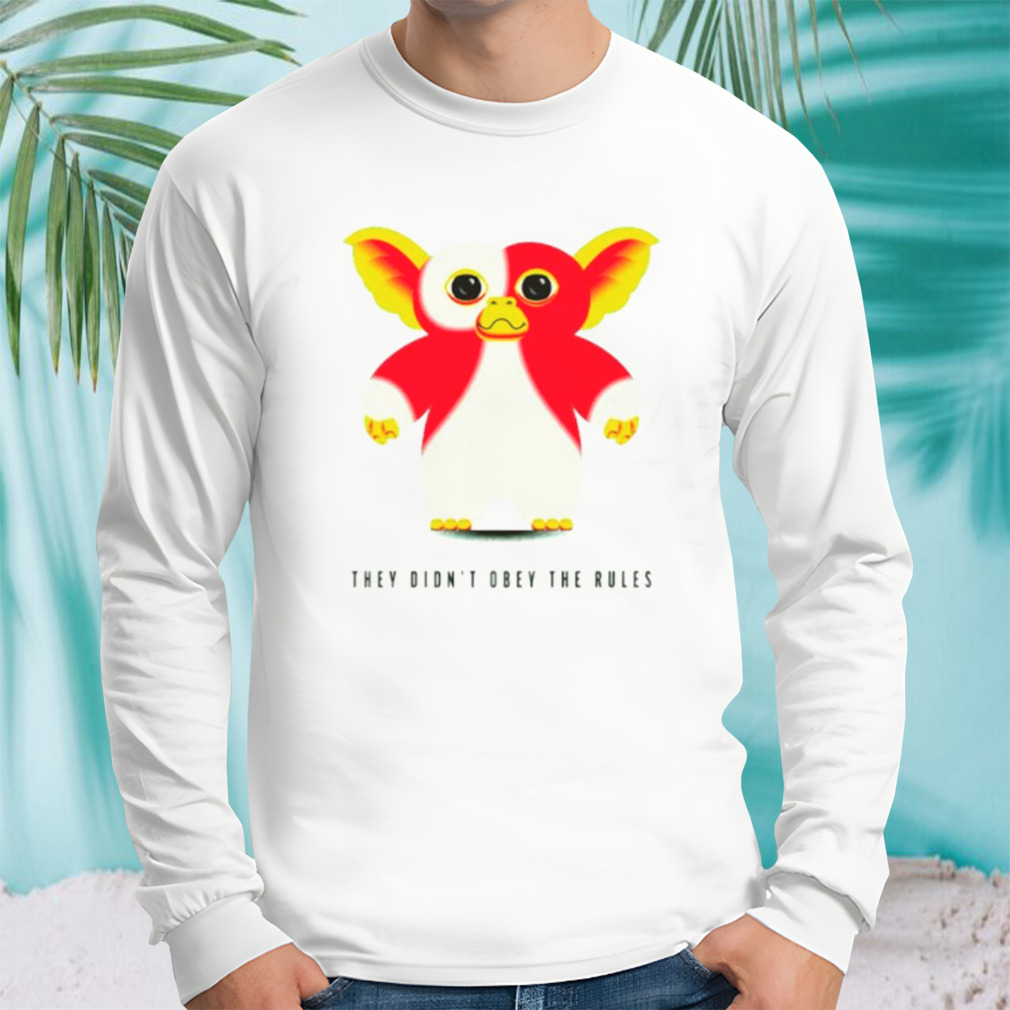 Longsleeve shirt