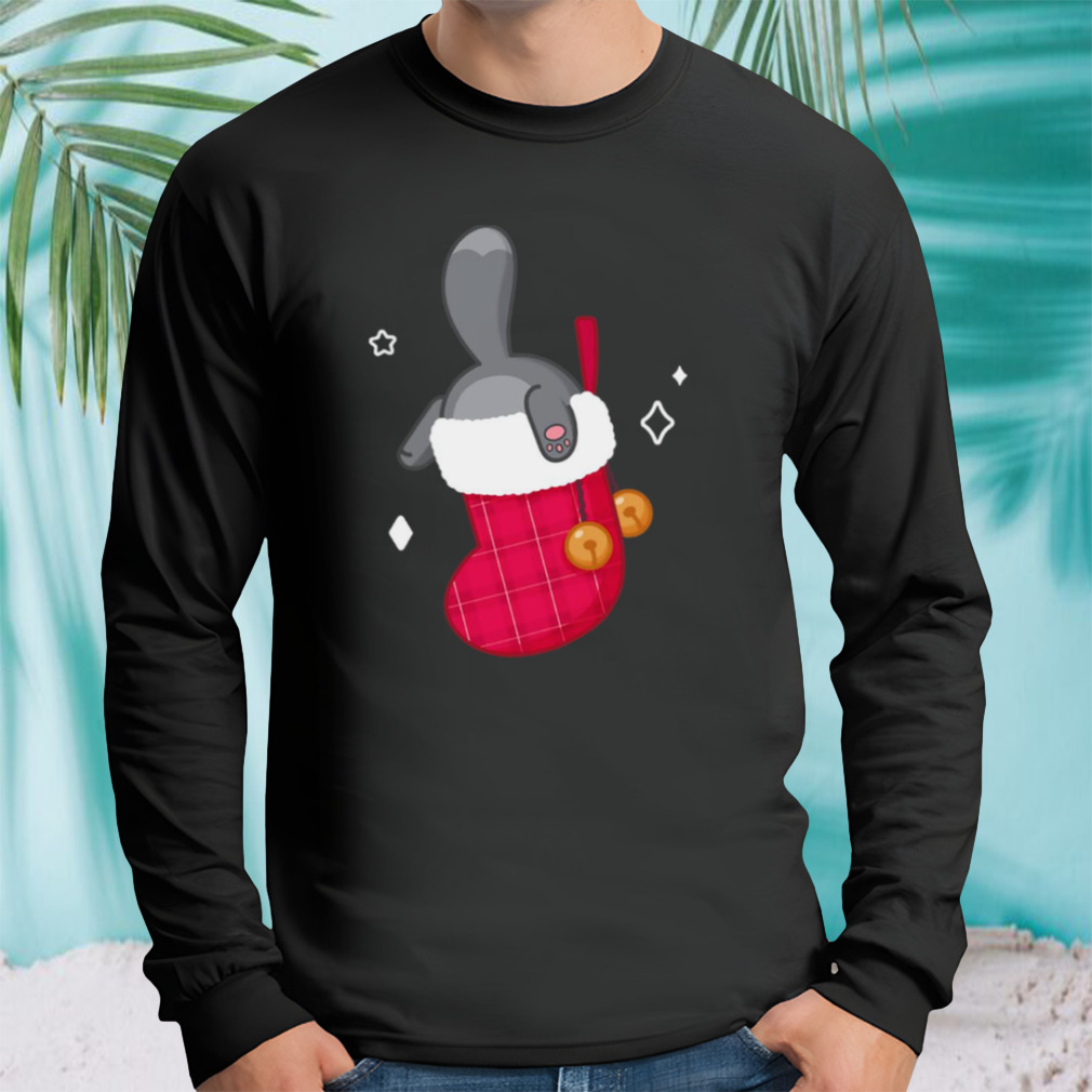 Longsleeve tshirt