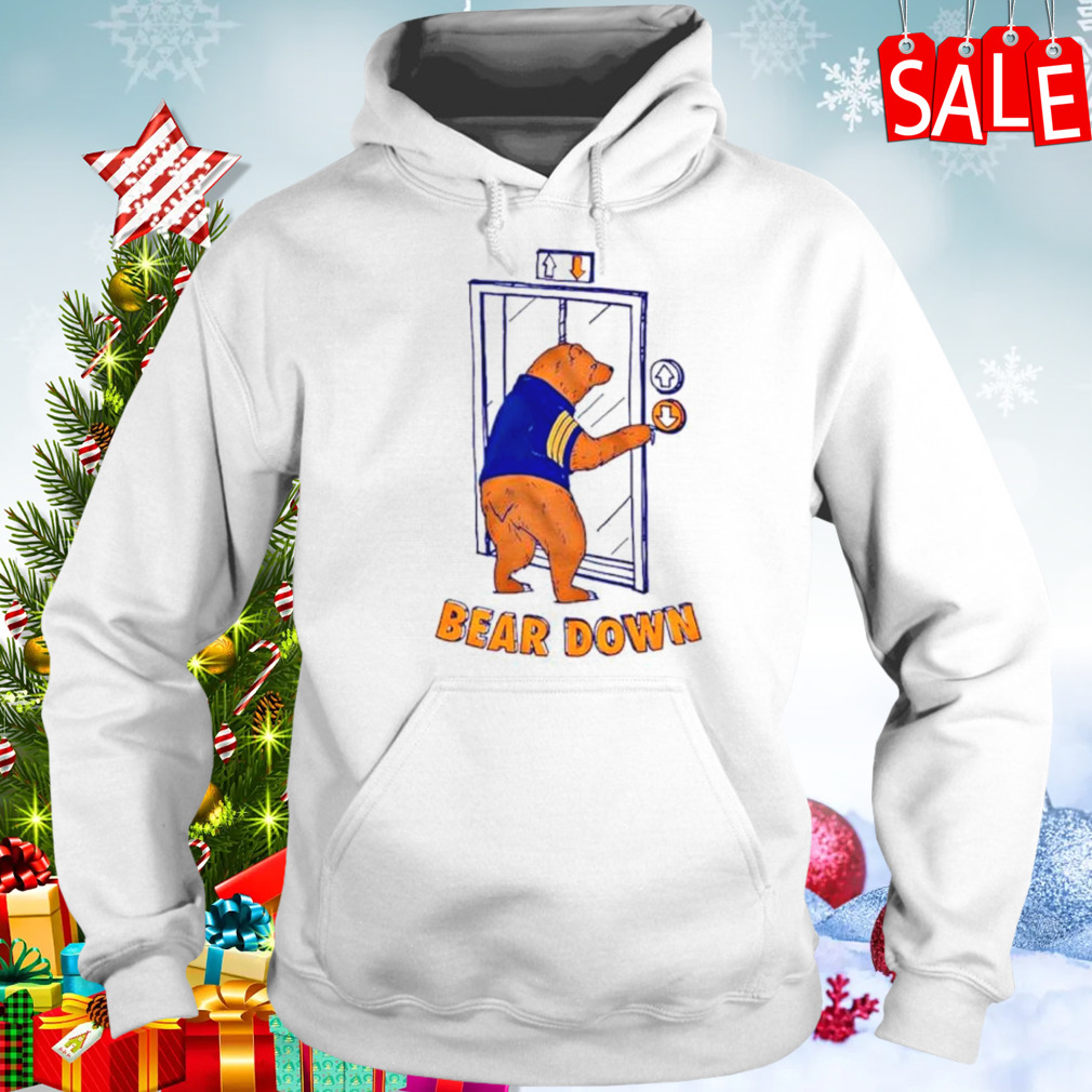 Bear down elevator shirt 5 Hoodie