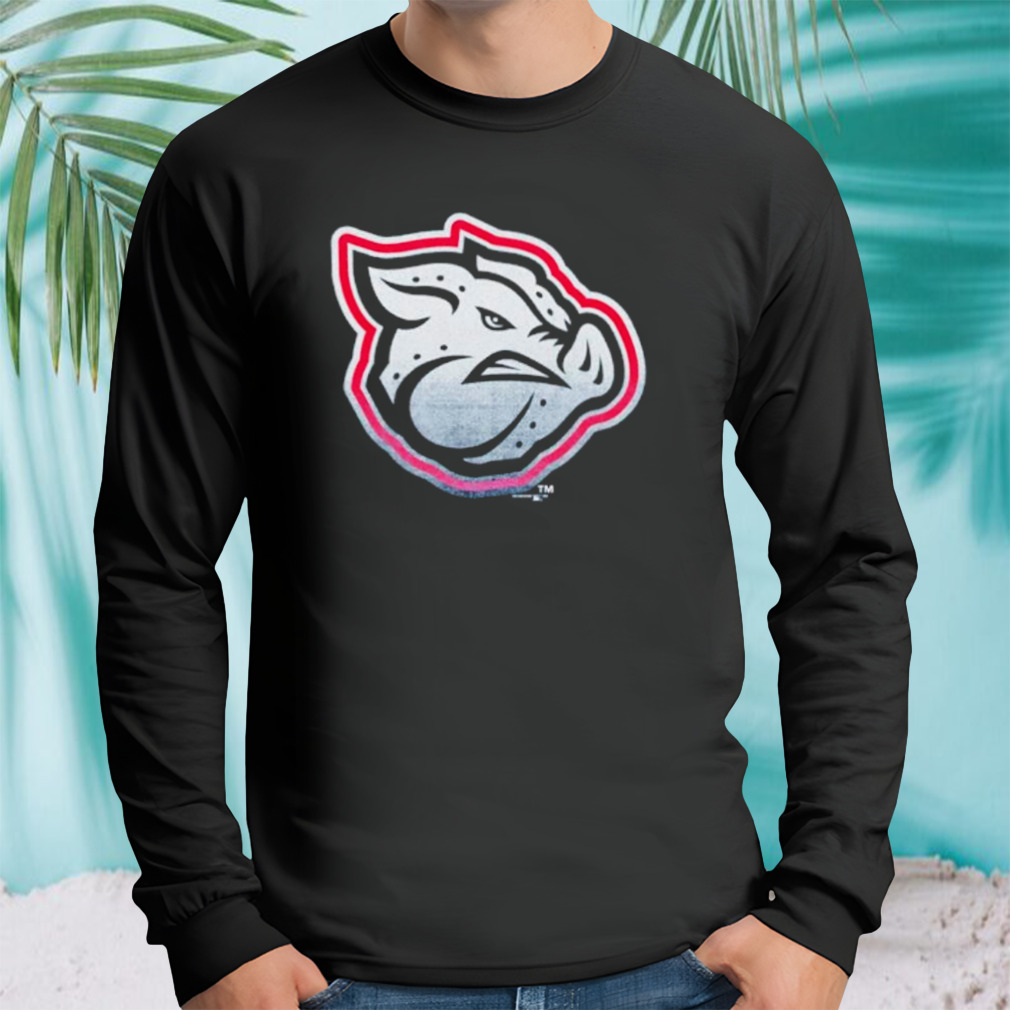 Longsleeve tshirt