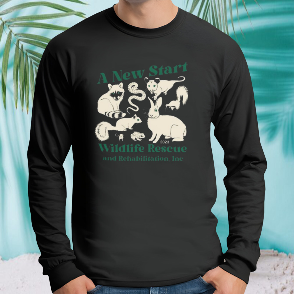 Longsleeve tshirt