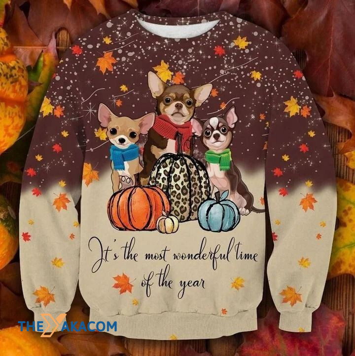 Lovely Chihuahua Dog With Colorful Pumpkin Gift For Christmas Ugly Christmas Sweater