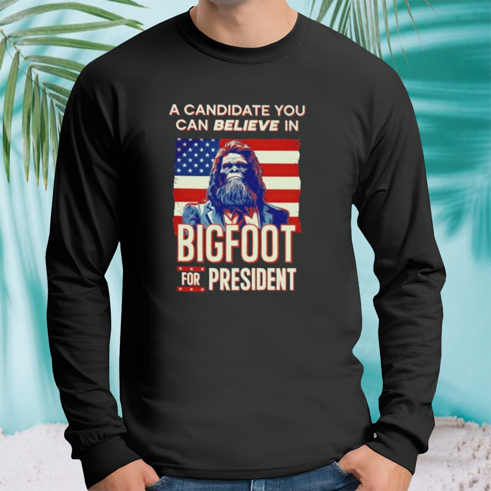 Longsleeve tshirt