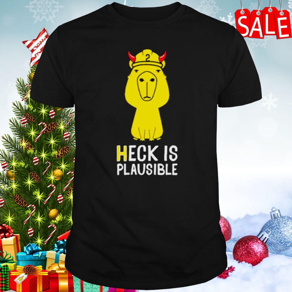 Heck is plausible 2023 shirt