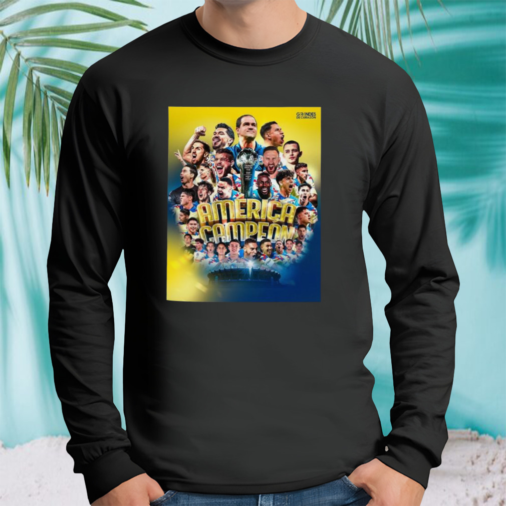 Longsleeve tshirt