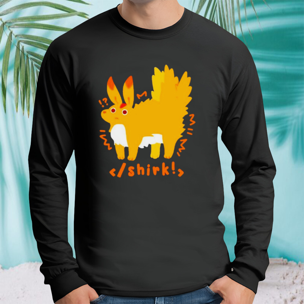 Longsleeve tshirt