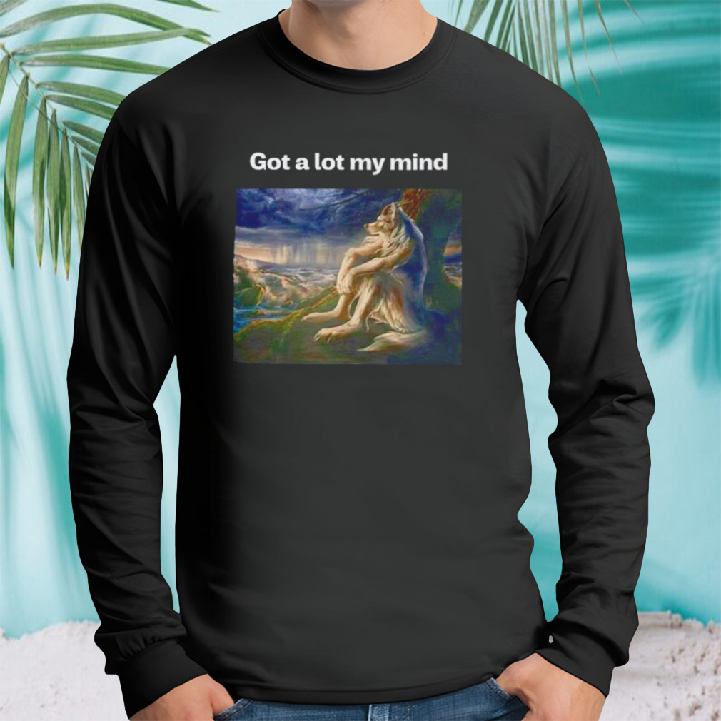 Longsleeve tshirt