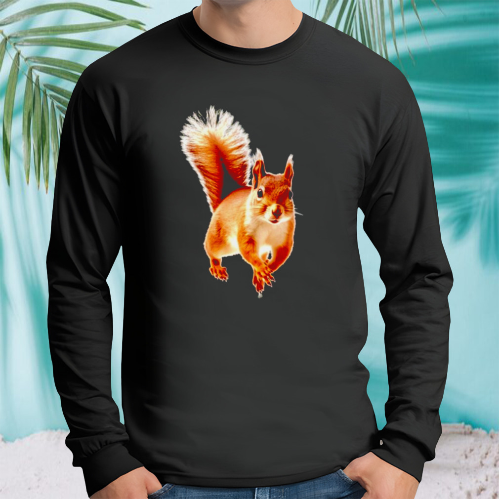 Longsleeve tshirt