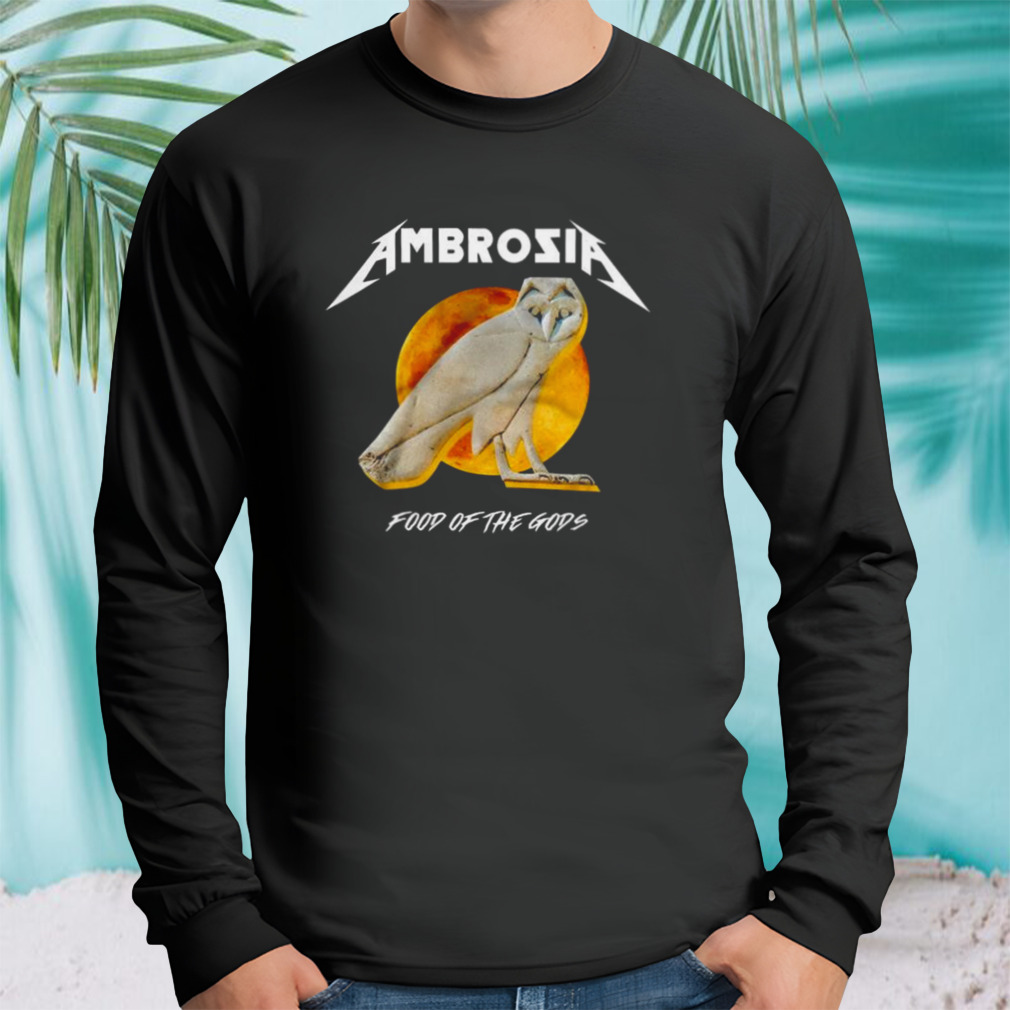 Longsleeve tshirt