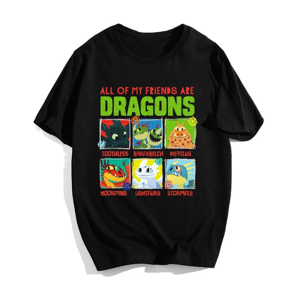 How To Train Your Dragon 3 Hidden World Dragon Friends T-Shirt