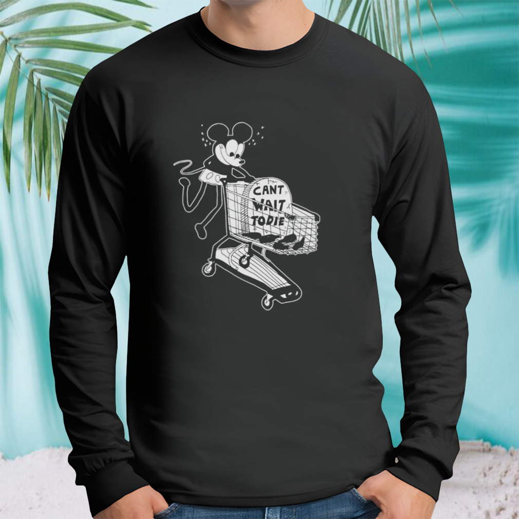 Longsleeve tshirt
