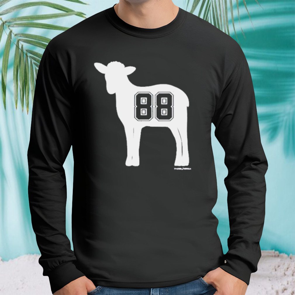 Longsleeve tshirt