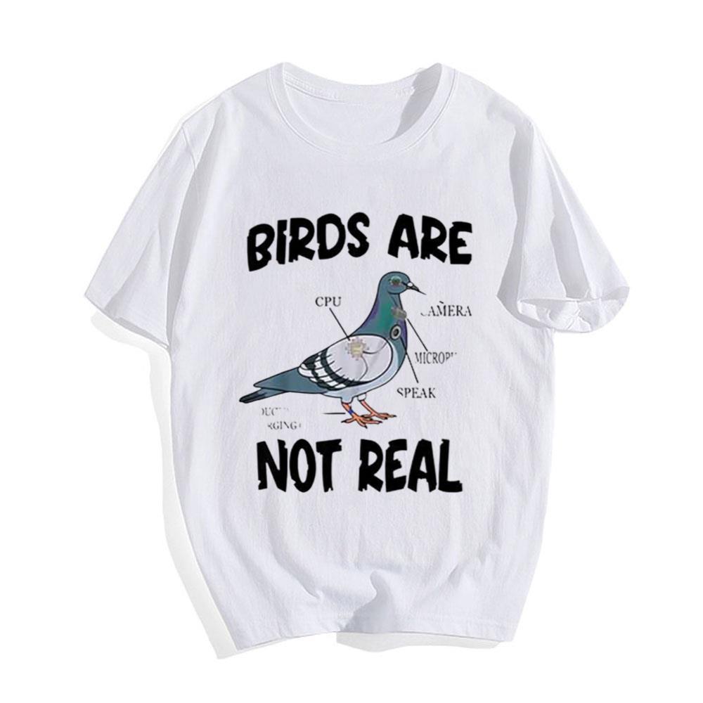 Pigeon Birds Are Not Real Funny Bird Spies Conspiracy Theory T-Shirt