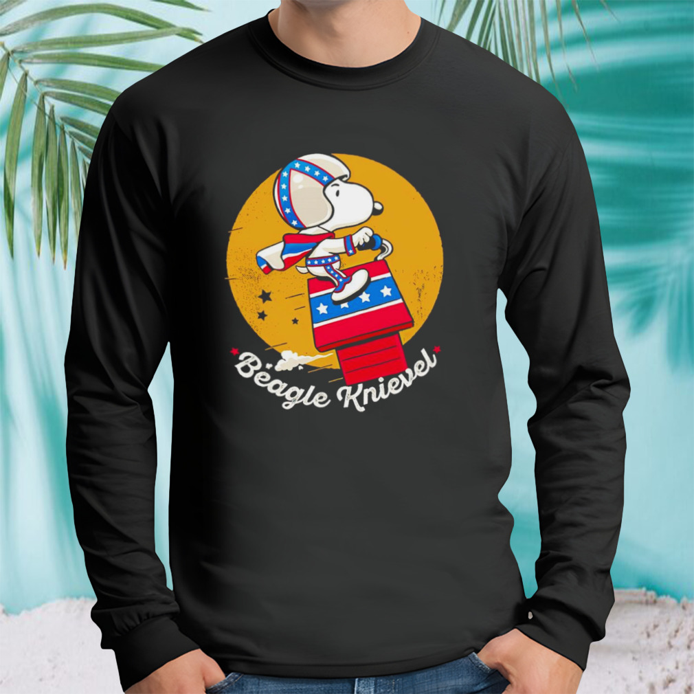Longsleeve tshirt