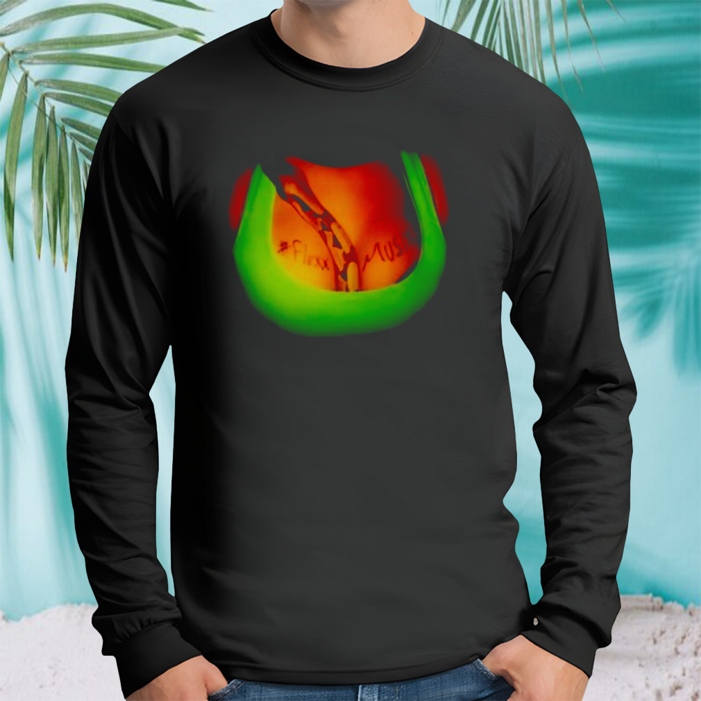 Longsleeve tshirt