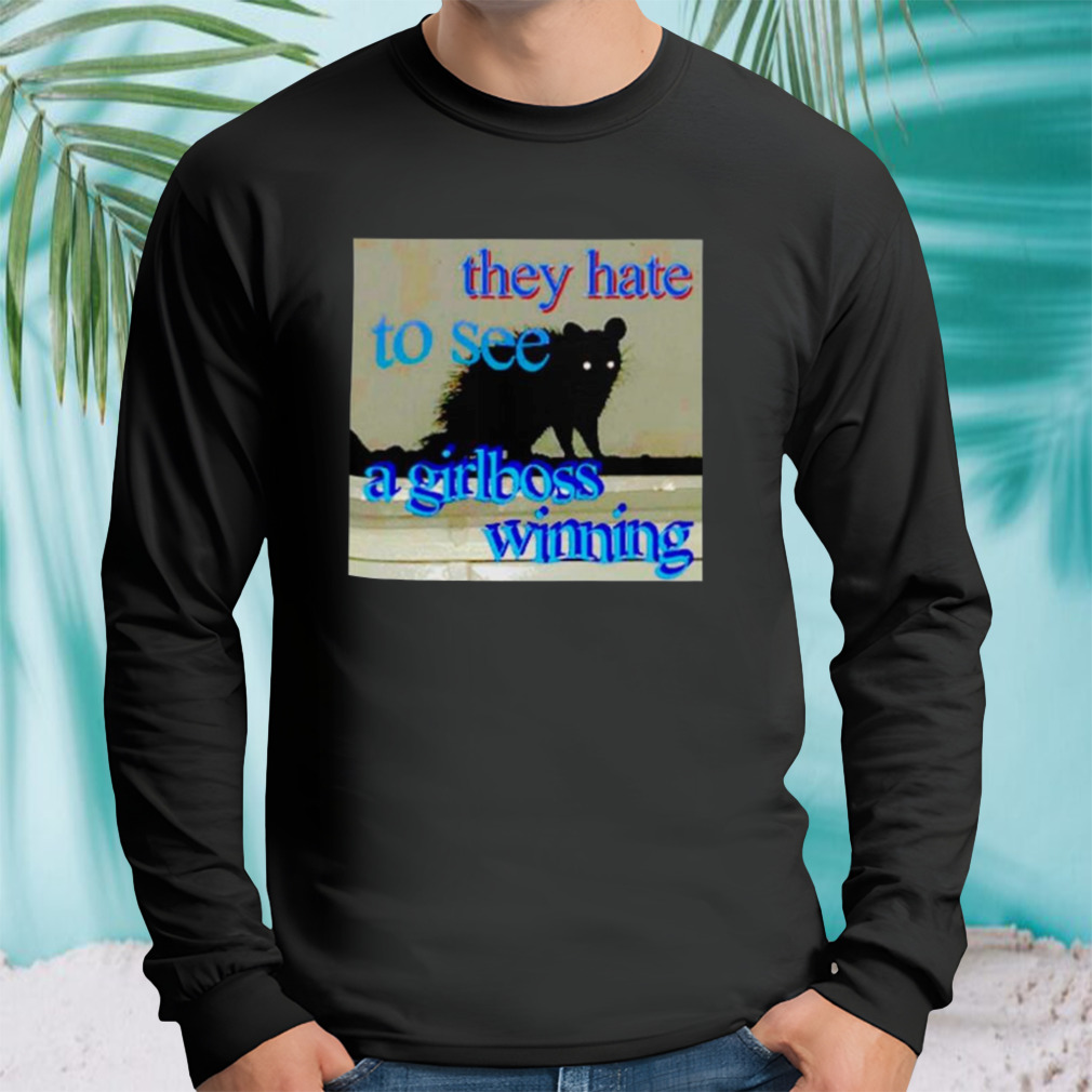 Longsleeve tshirt