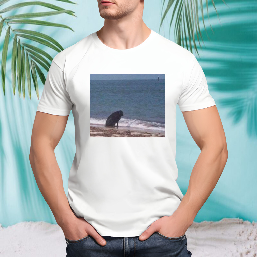 Sad dog at the beach shirt