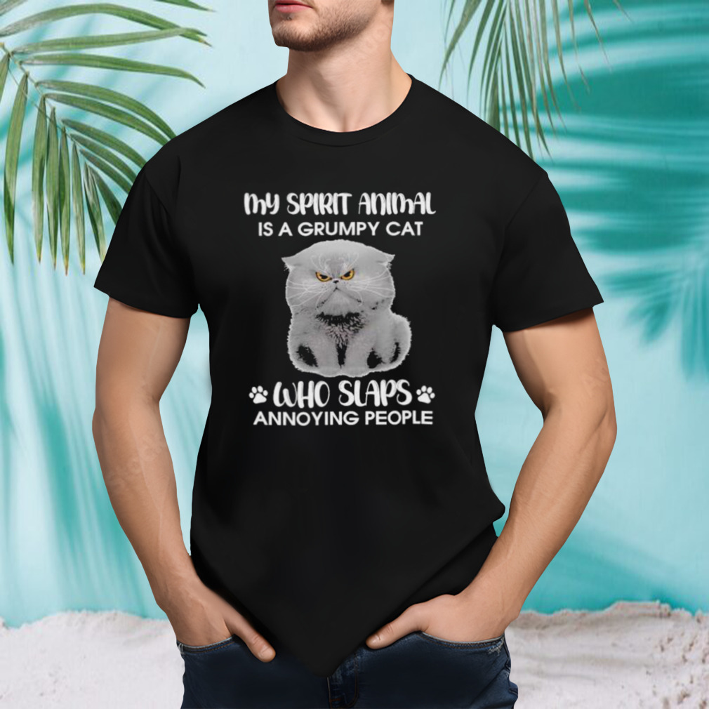 My spirit animal is a grumpy cat who slaps annoying people 2024 shirt