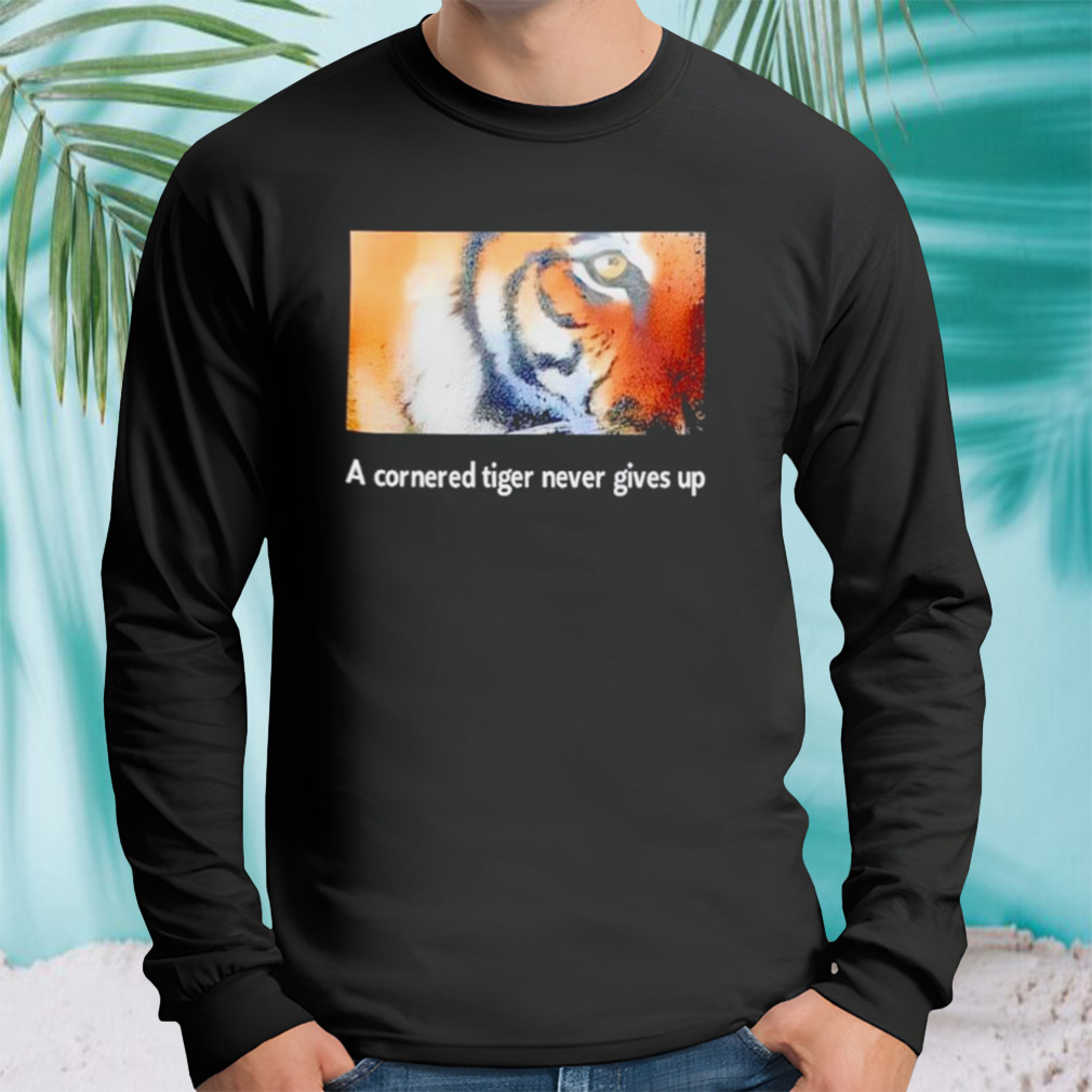 Longsleeve tshirt