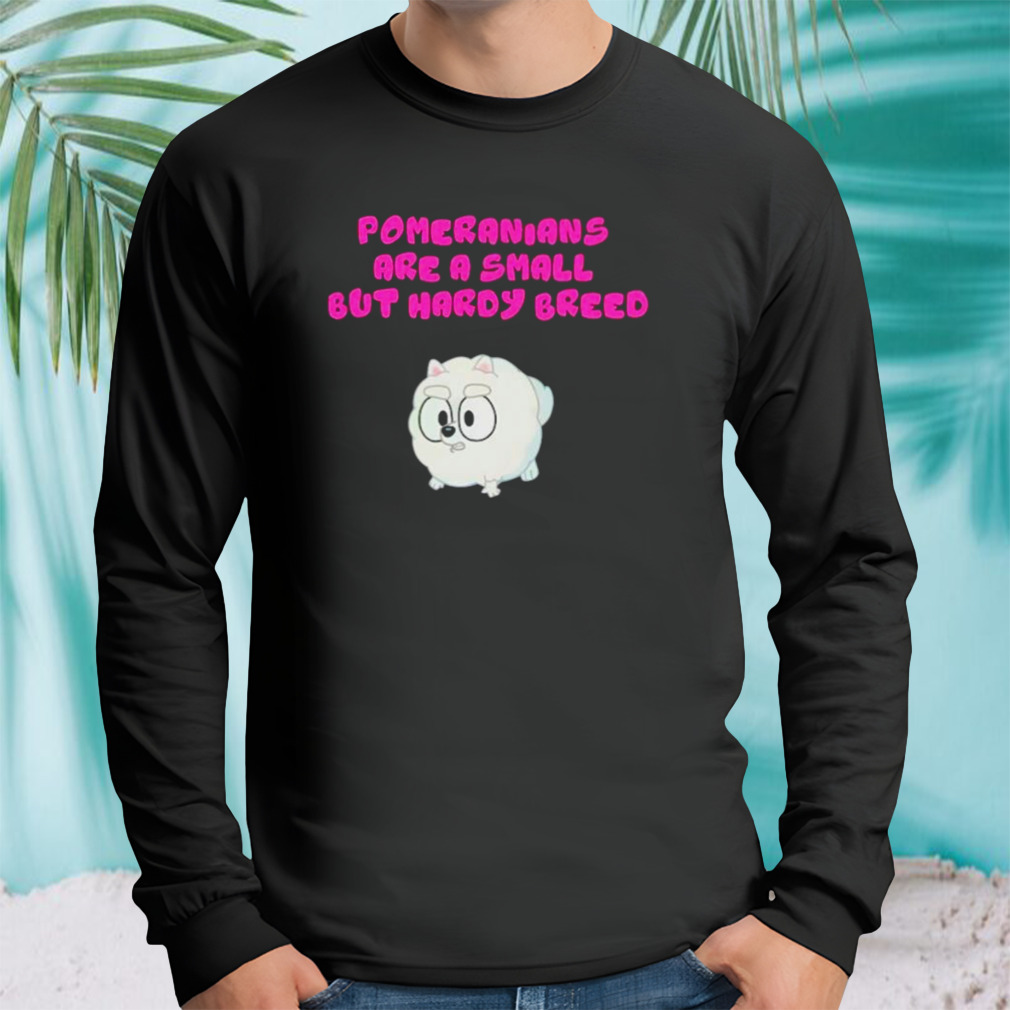 Longsleeve tshirt