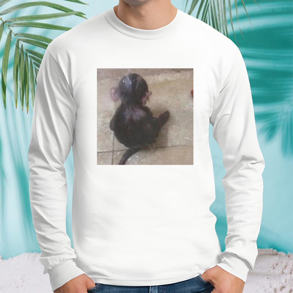 Longsleeve shirt