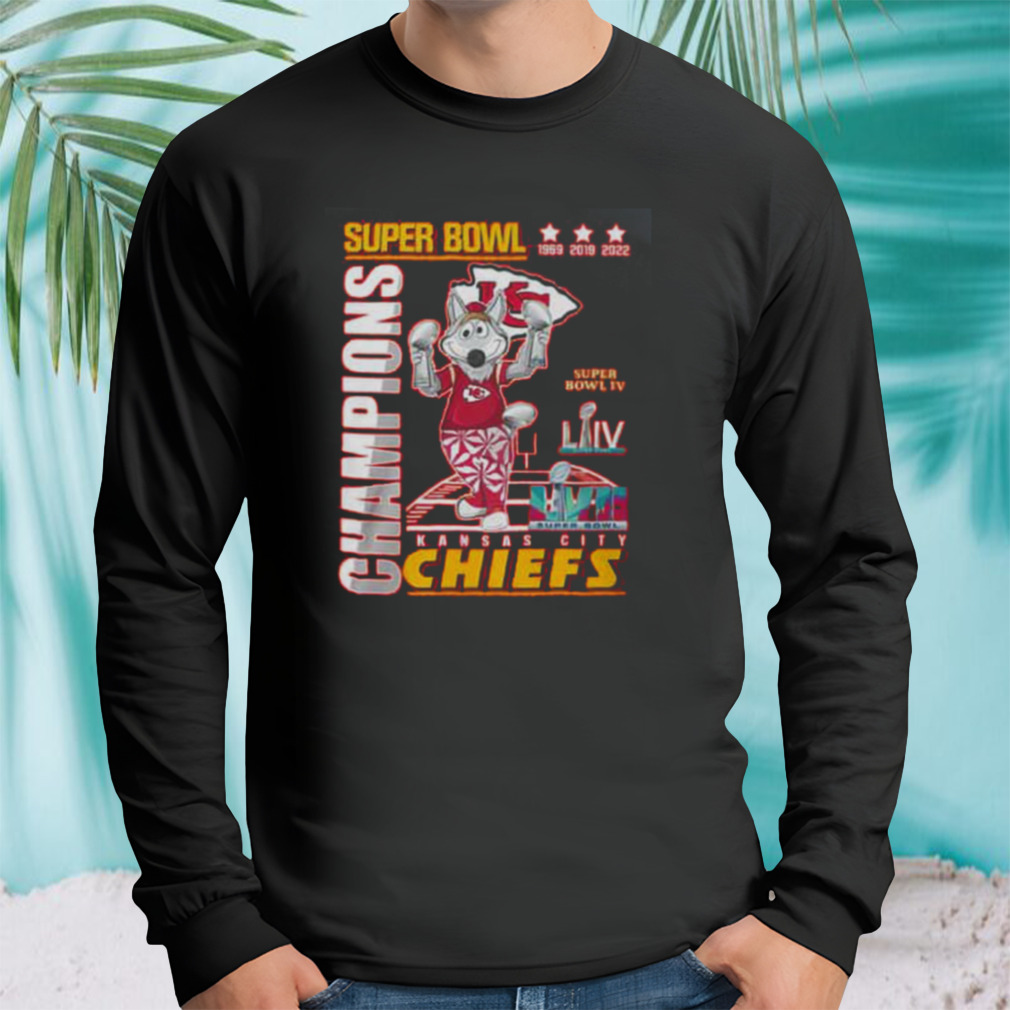 Longsleeve tshirt