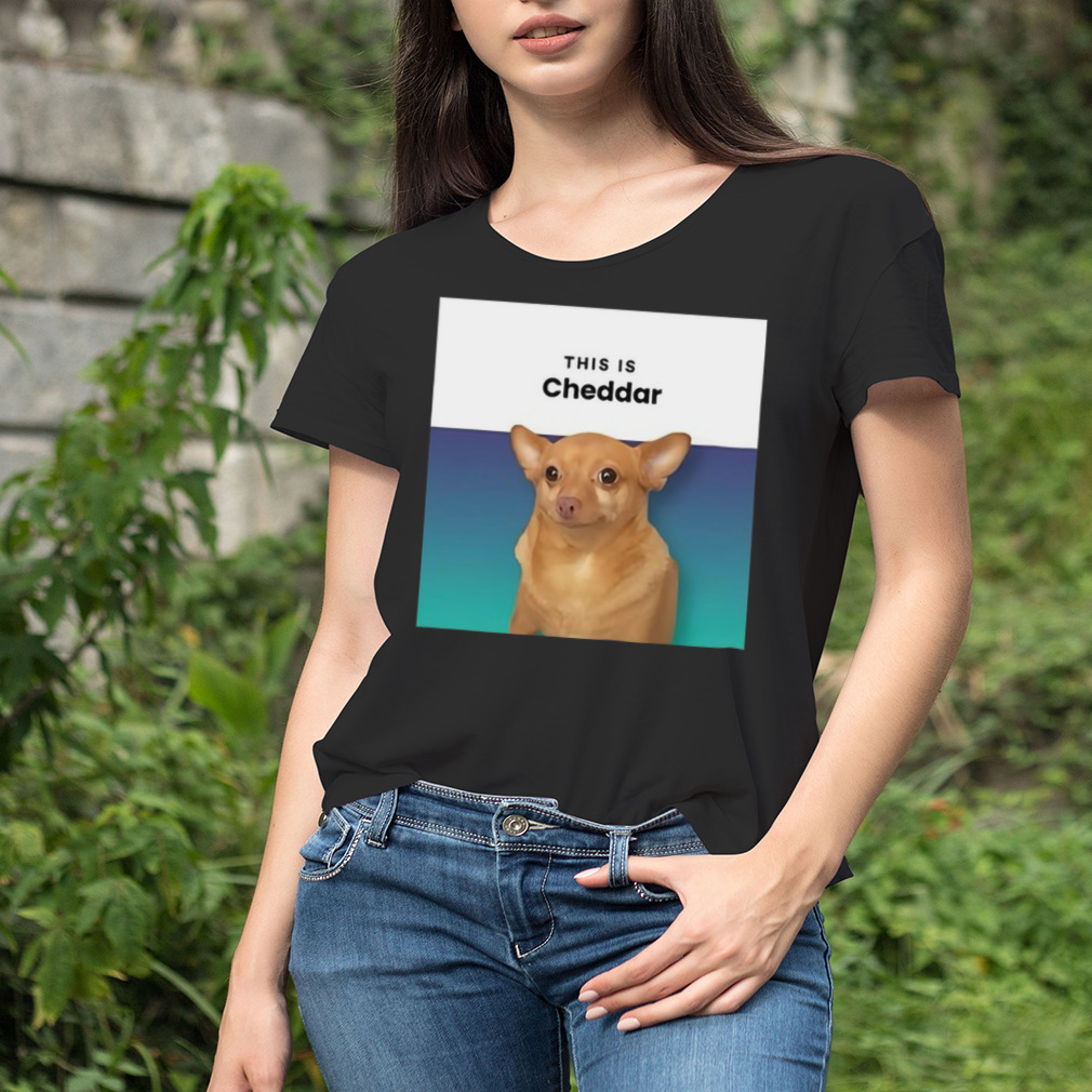 Women's tshirt