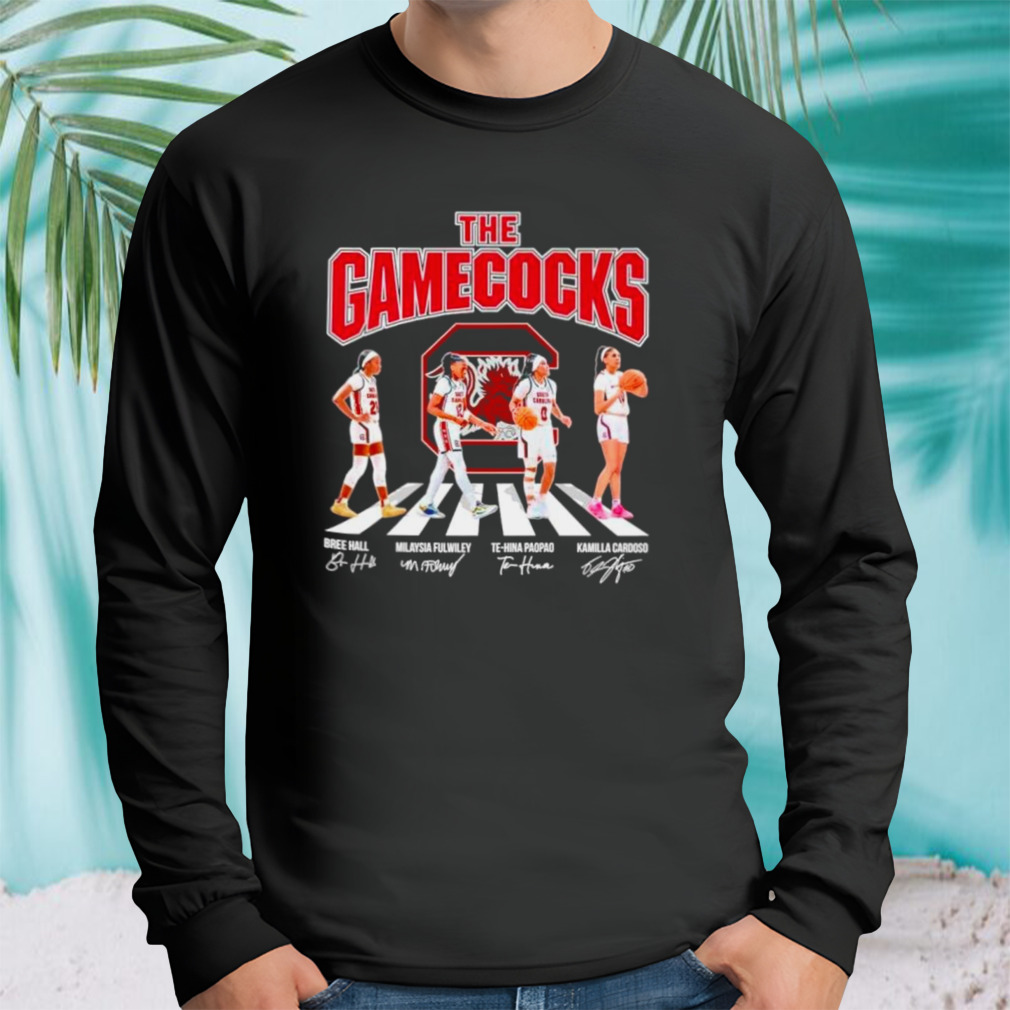 Longsleeve tshirt