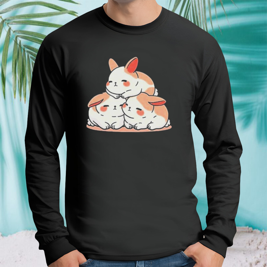 Longsleeve tshirt
