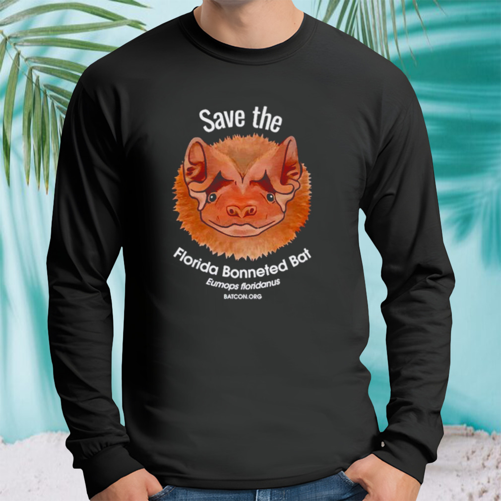 Longsleeve tshirt