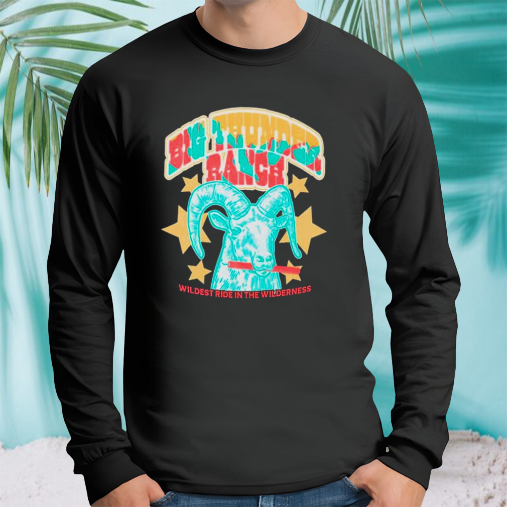 Longsleeve tshirt