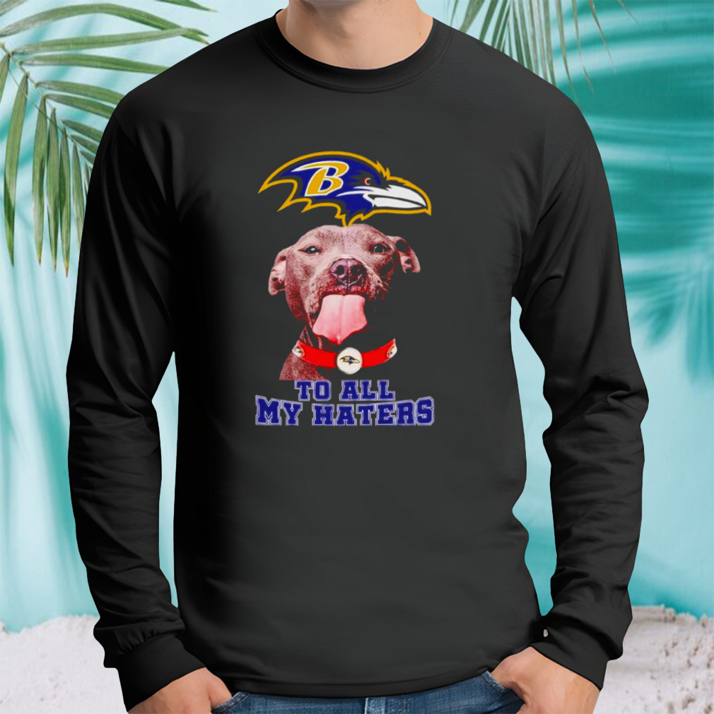 Longsleeve tshirt