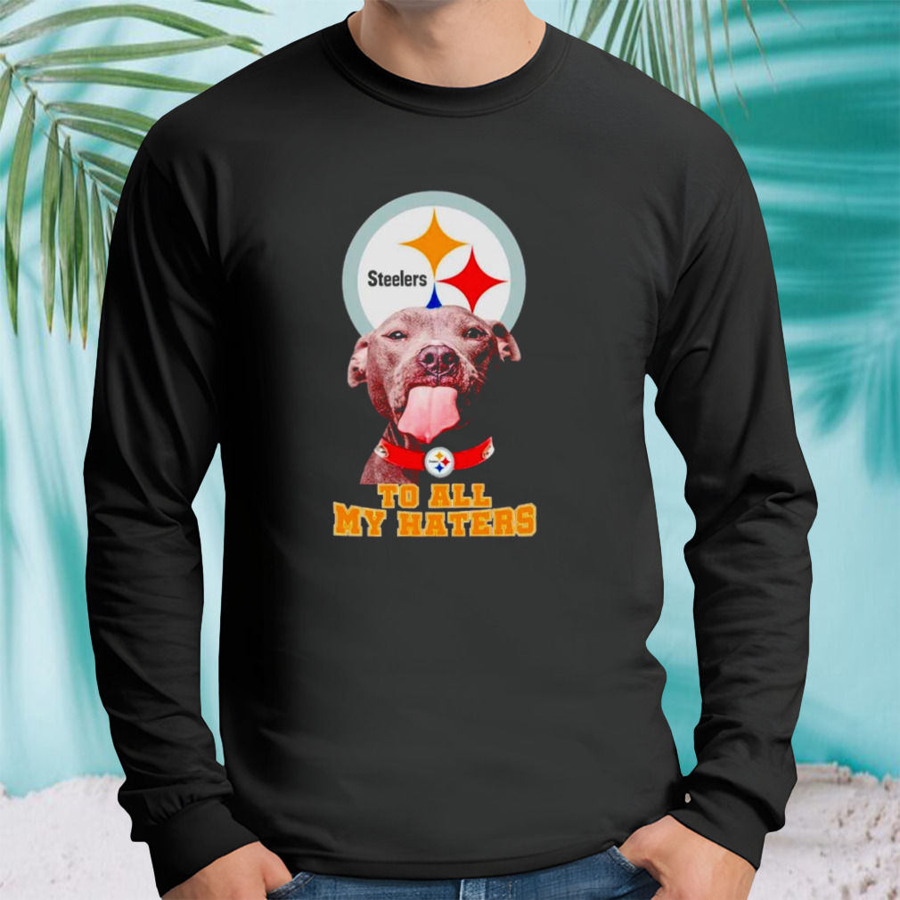 Longsleeve tshirt