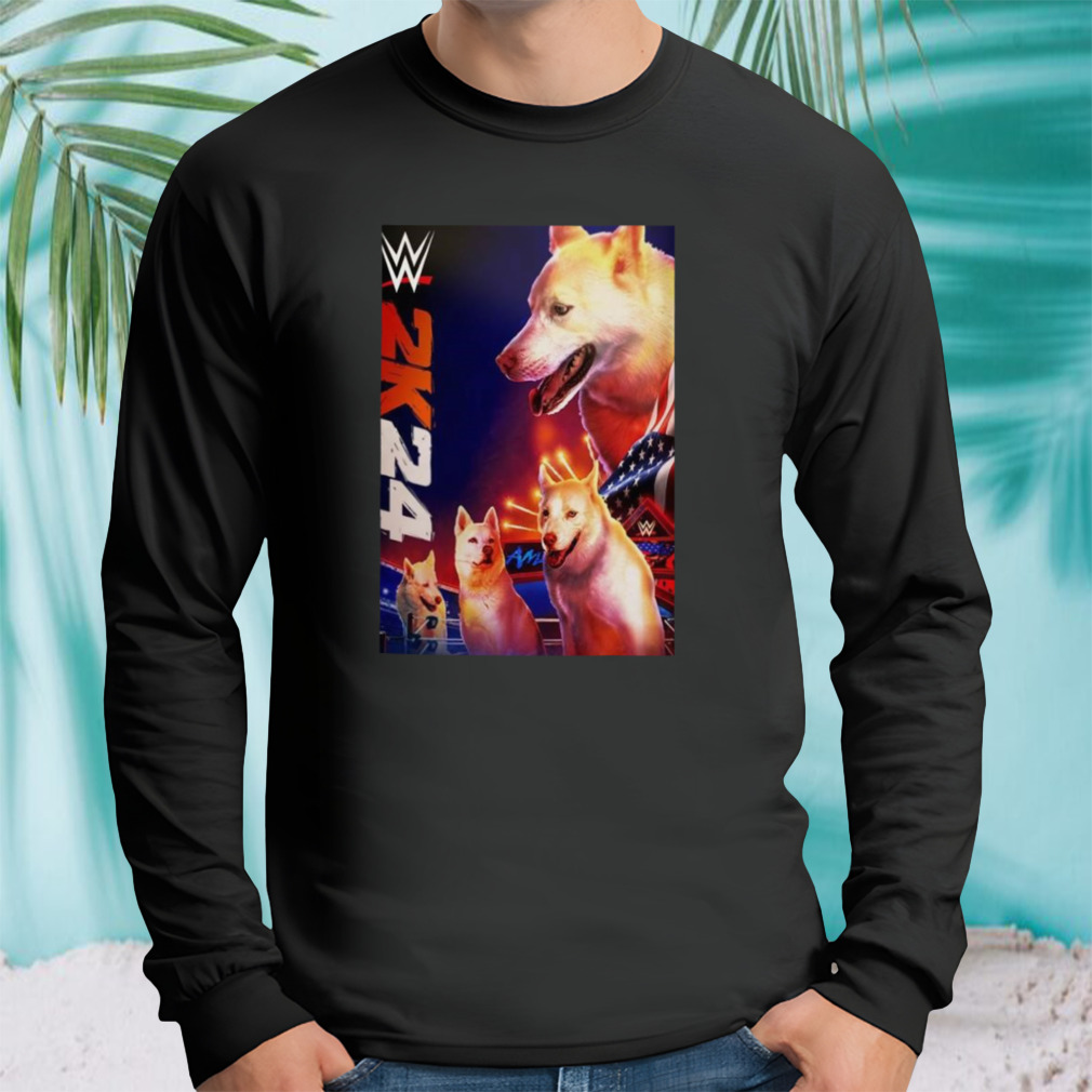 Longsleeve tshirt