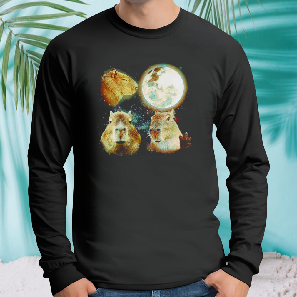 Longsleeve tshirt
