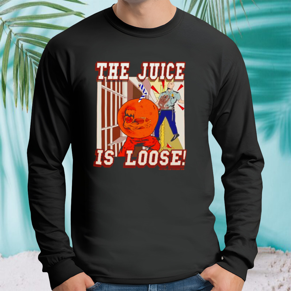 Longsleeve tshirt