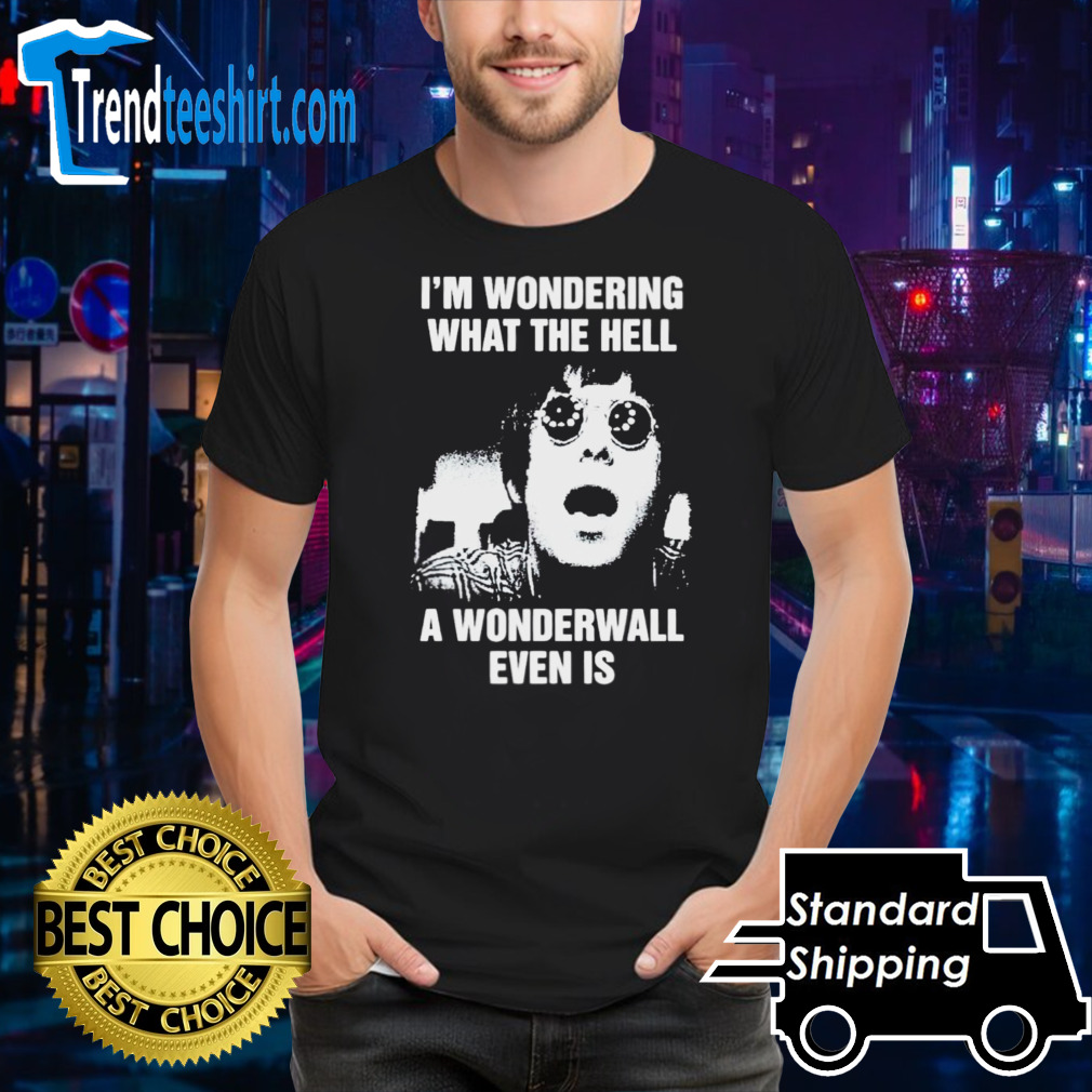 I’m wondering what the hell a wonderwall even is shirt