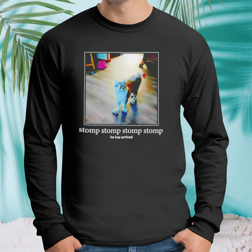 Longsleeve tshirt