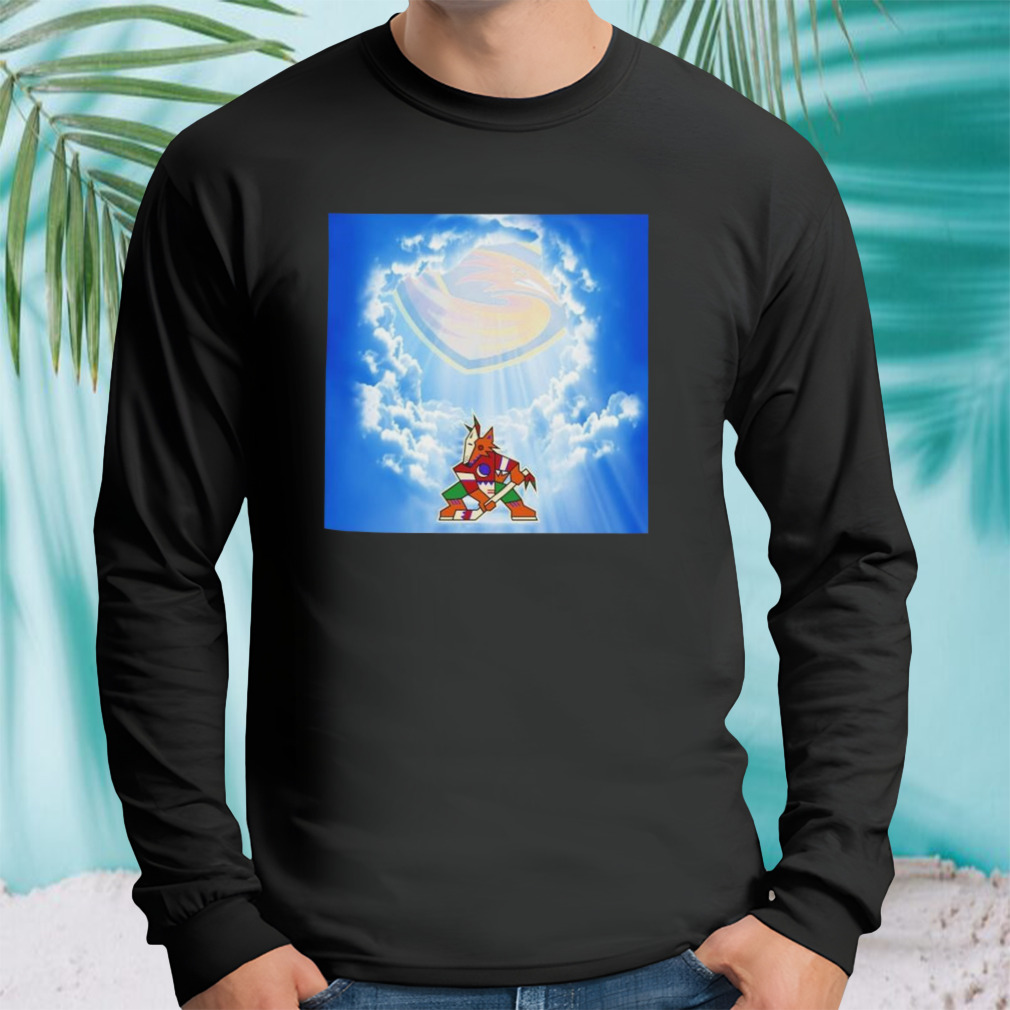 Longsleeve tshirt