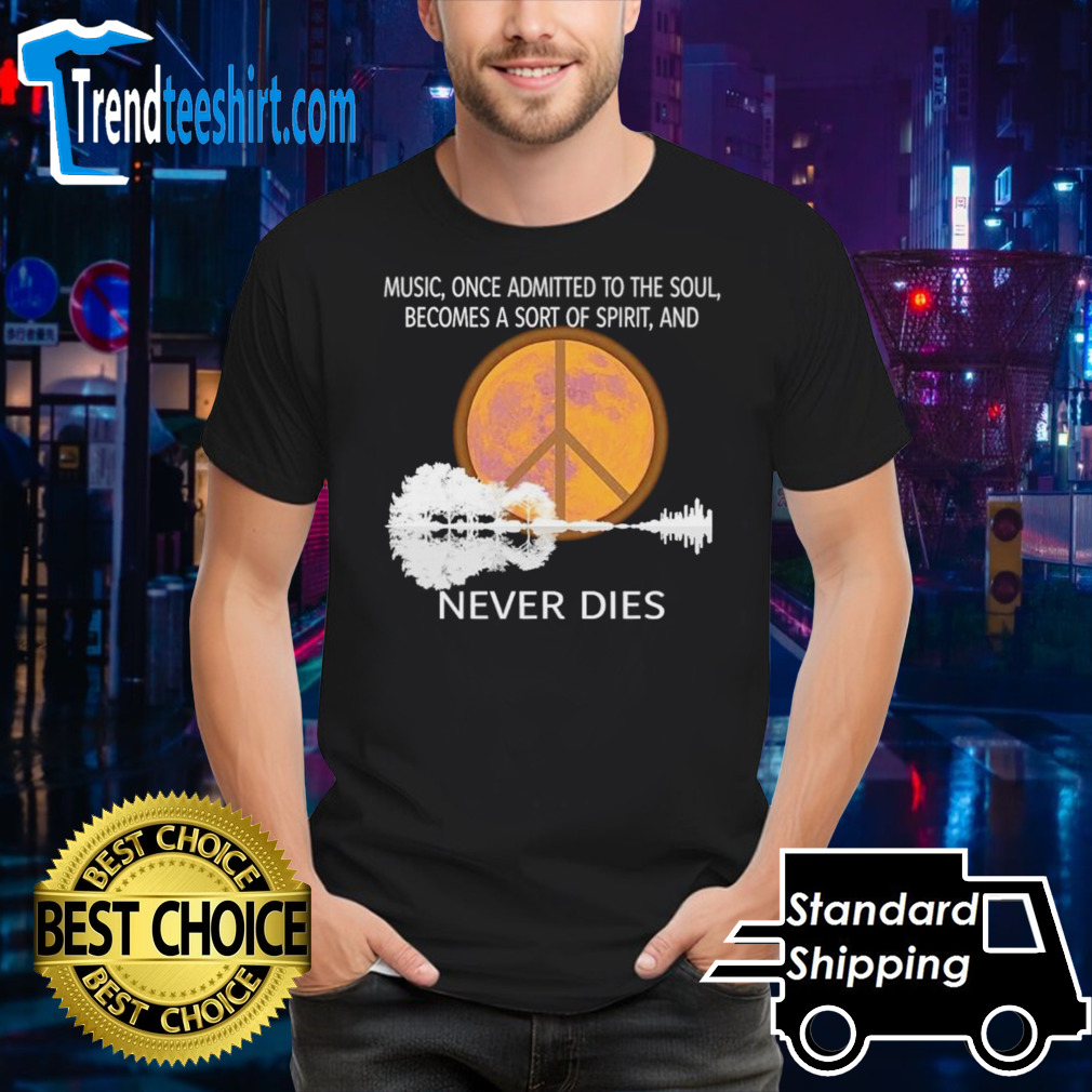 Music once admitted to the soul becomes a sort of spirit and never dies shirt