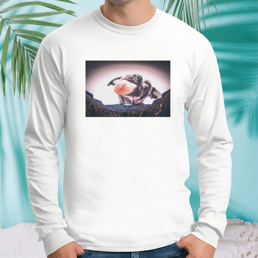 Longsleeve shirt