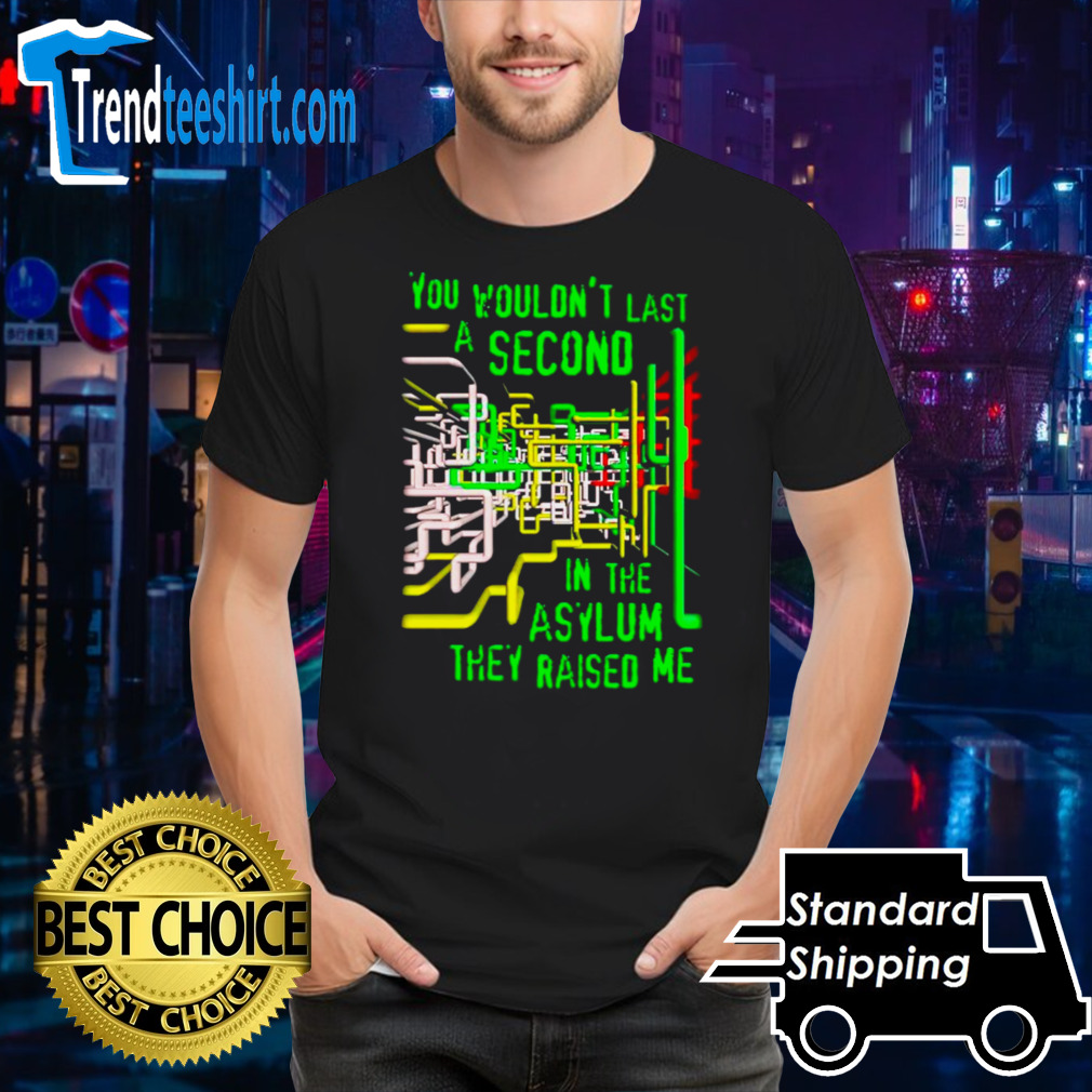 You wouldn’t last a second in the asylum they raised me shirt