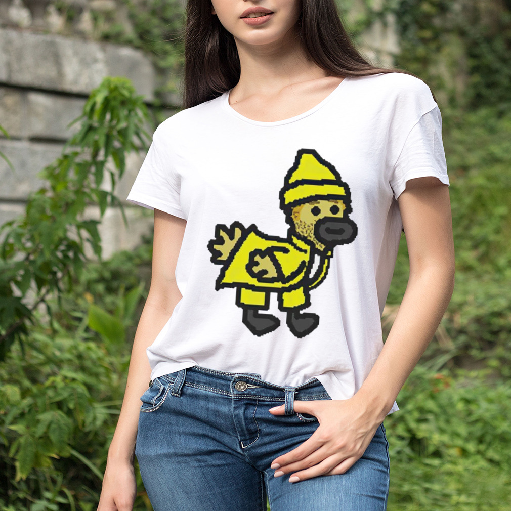 Women's shirt