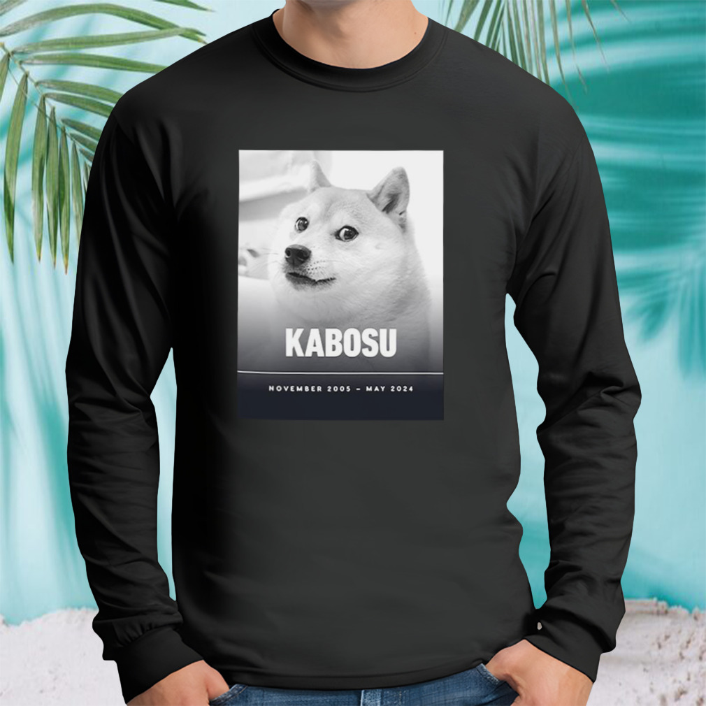 Longsleeve tshirt