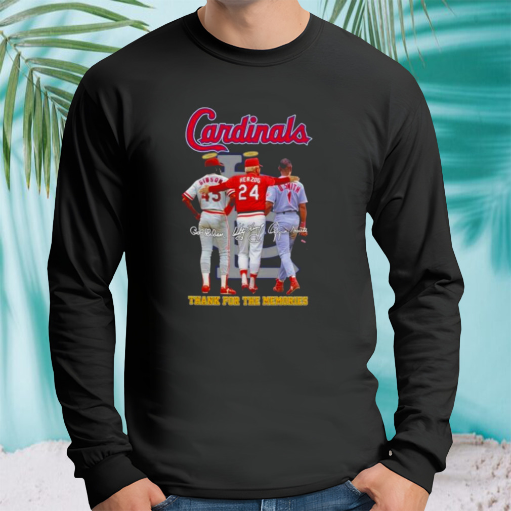 Longsleeve tshirt